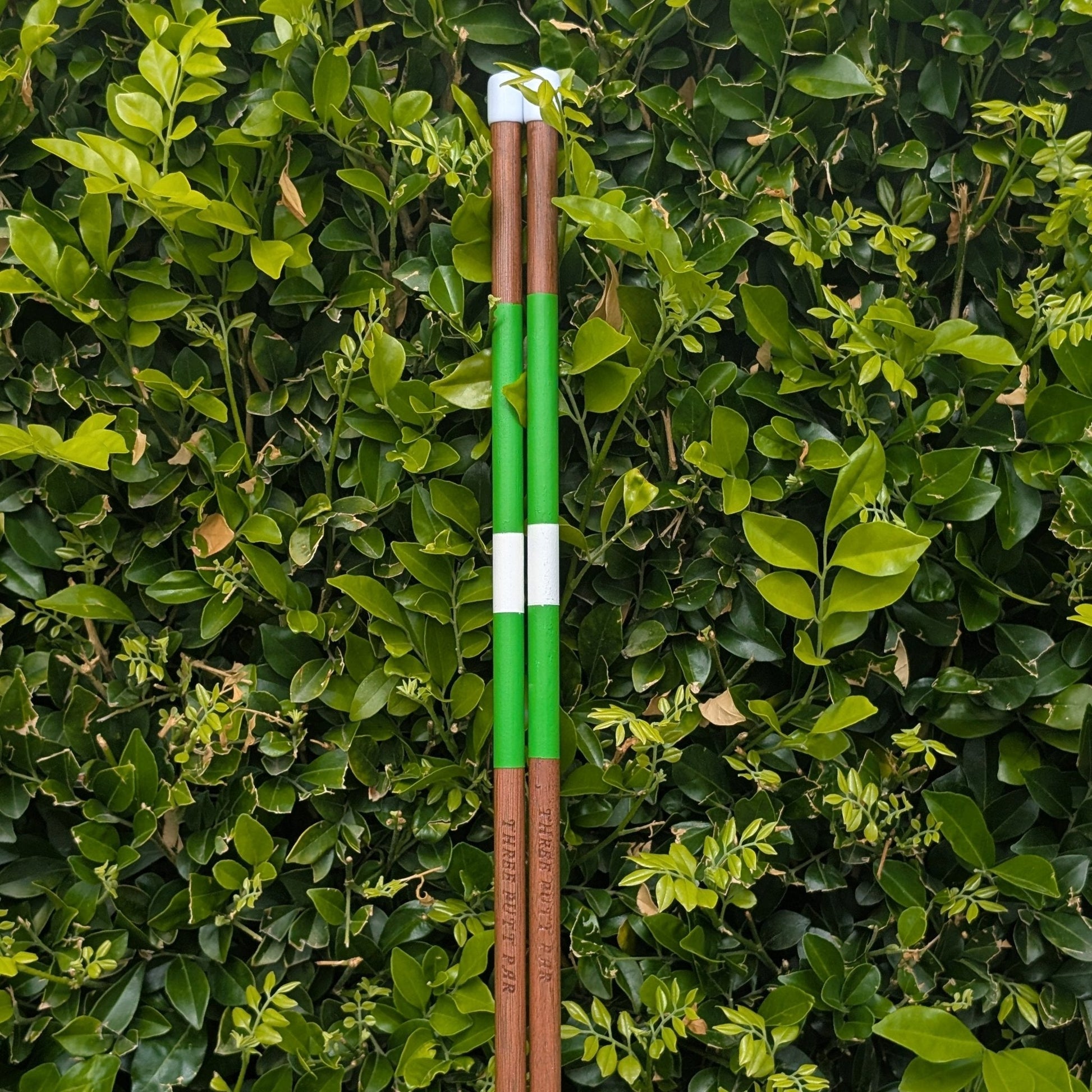 Alignment Stick - Masters Edition