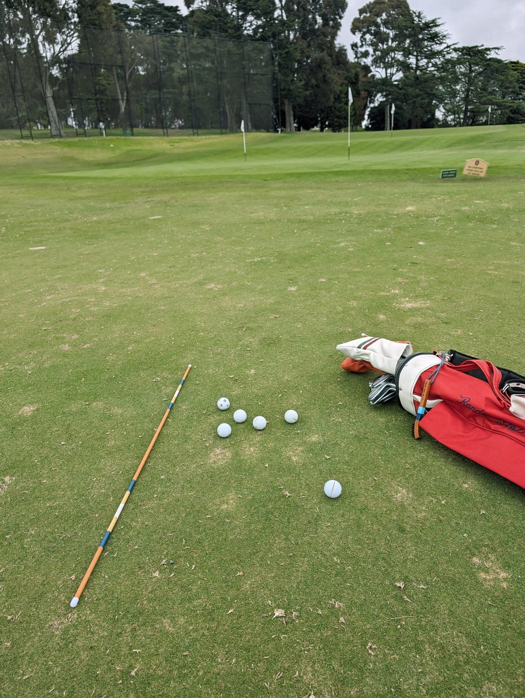 Three Putt Par | Alignment Stick - Dale
