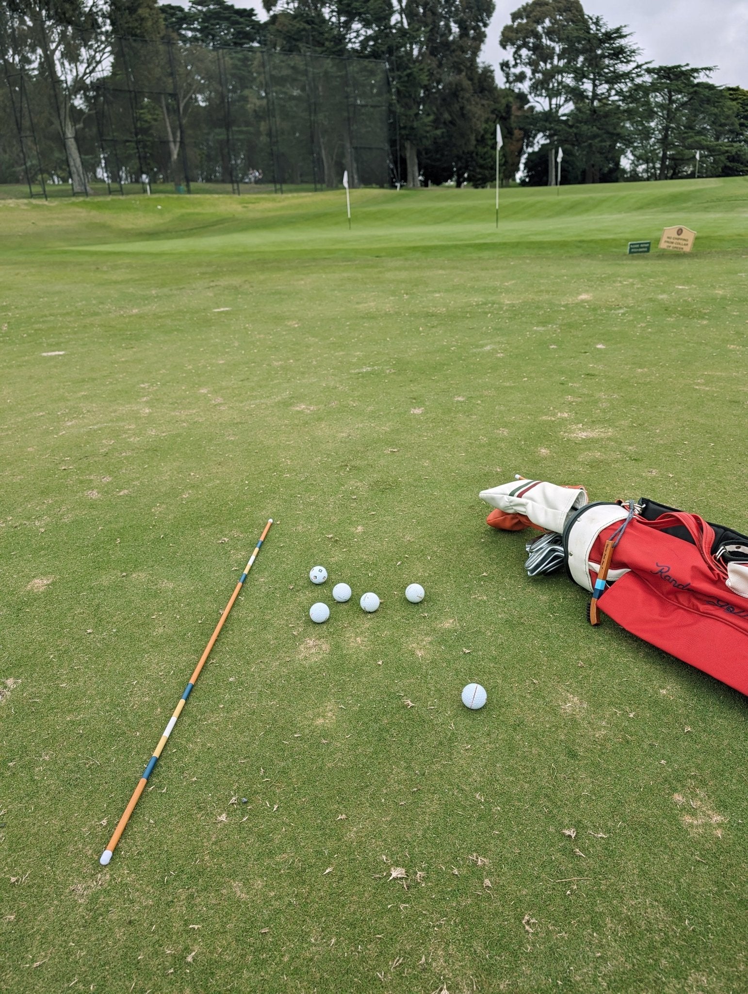 Alignment Stick - Dale