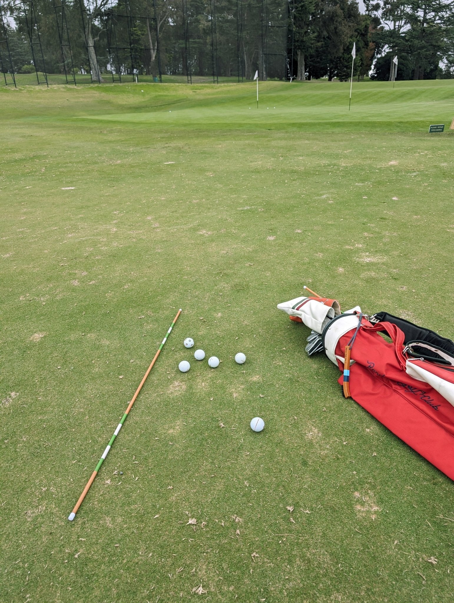 Alignment Stick - Greenside