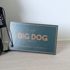 Leather Rangefinder Pouch - Green